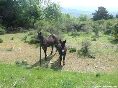Línea Férrea Madrid-Burgos - Ruteando la RFIG 102; transpirenaica ruta de las nogaledas calzada roma